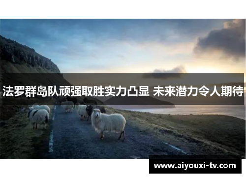 法罗群岛队顽强取胜实力凸显 未来潜力令人期待