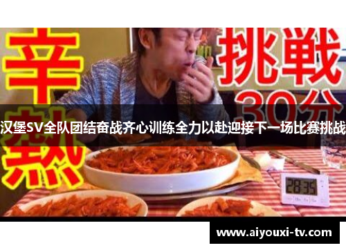 汉堡SV全队团结奋战齐心训练全力以赴迎接下一场比赛挑战