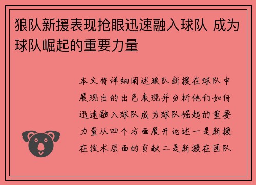 狼队新援表现抢眼迅速融入球队 成为球队崛起的重要力量