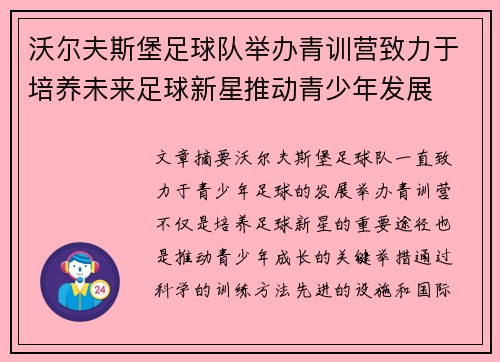 沃尔夫斯堡足球队举办青训营致力于培养未来足球新星推动青少年发展