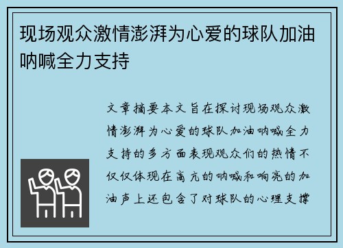 现场观众激情澎湃为心爱的球队加油呐喊全力支持