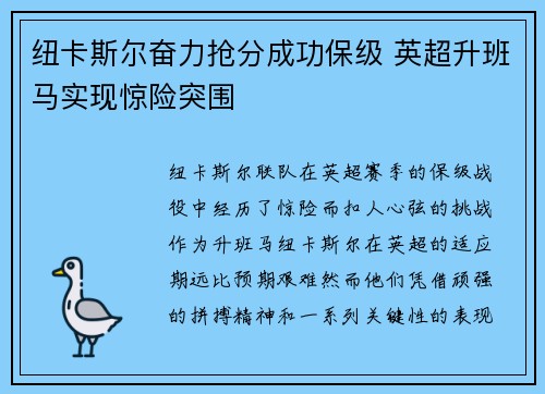 纽卡斯尔奋力抢分成功保级 英超升班马实现惊险突围